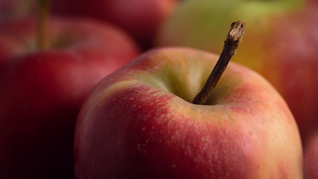 Apples macro shallowdepth blurry background free wallpaper - medium preview image