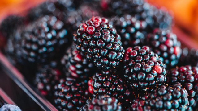 Berries bowl bokeh christmas santa free wallpaper - medium preview image