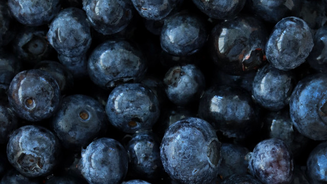 Blueberries brown spots black macro free wallpaper - medium preview image
