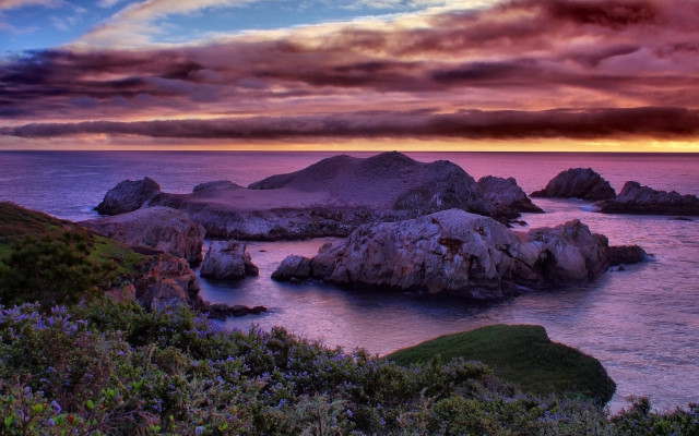 Sunset rocky beach water bushes #2 free wallpaper - medium preview image