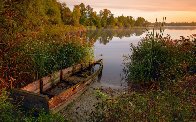 Lake sunset ecological landscape forest free wallpaper - medium preview image