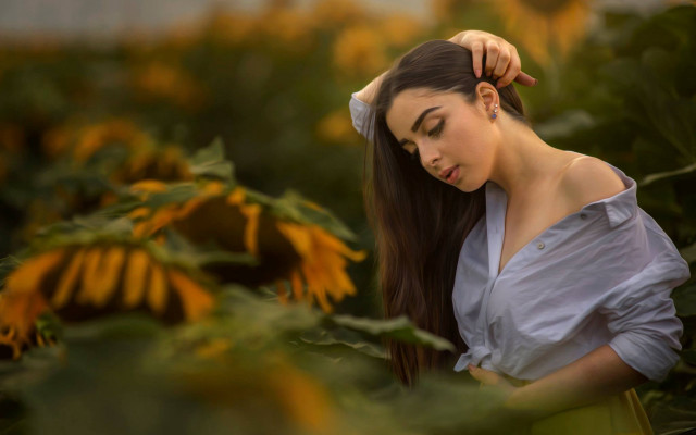 Sunflower field woman blurry portrait free wallpaper - medium preview image