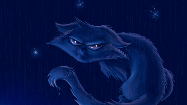 Blue cat glowing eyes rainy free wallpaper - medium preview image