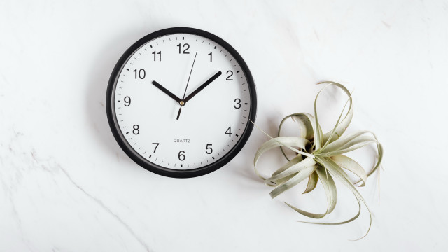 Clock plant white table black free wallpaper - medium preview image
