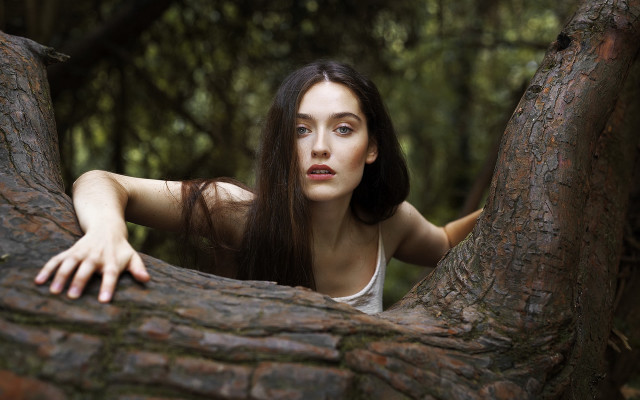 Woman tree trunk posing blurry free wallpaper - medium preview image