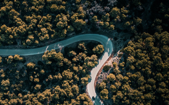Winding road forest river above free wallpaper - medium preview image