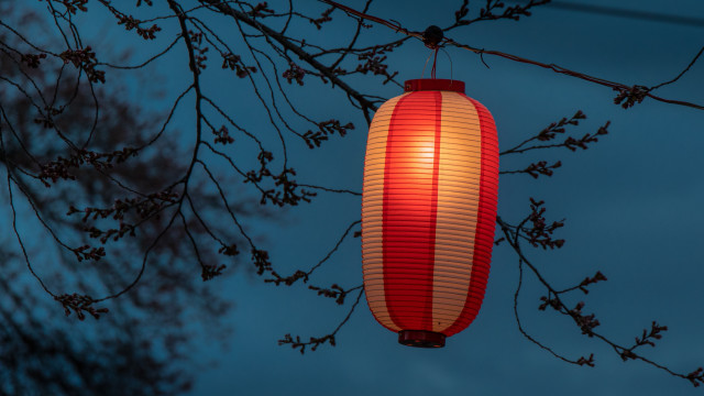 Red white lantern night bamboo free wallpaper - medium preview image