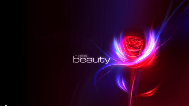 Red rose purple blue swirl free wallpaper - medium preview image