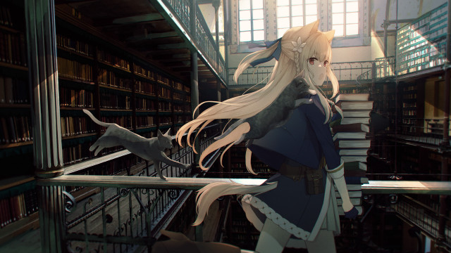 Library angelic fox cat portrait free wallpaper - medium preview image