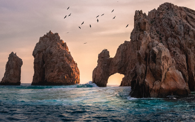 Birds ocean rock sunset matte free wallpaper - medium preview image