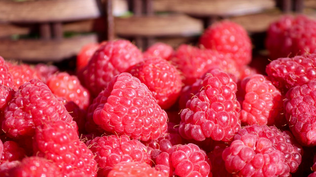 Raspberries strawberries macro photorealism food free wallpaper - medium preview image