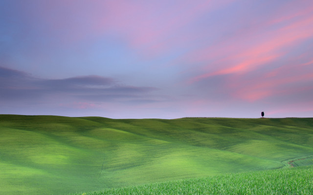 Lone tree hill sunset cloudy free wallpaper - medium preview image