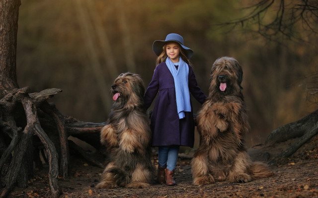 Girl hat coat dogs forest free wallpaper - medium preview image