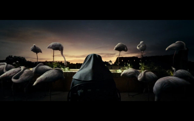 Woman black veil flamingos sunset free wallpaper - medium preview image