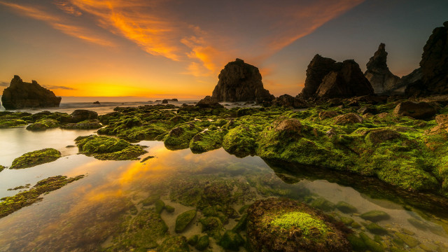 Sunset rocky beach green algae free wallpaper - medium preview image