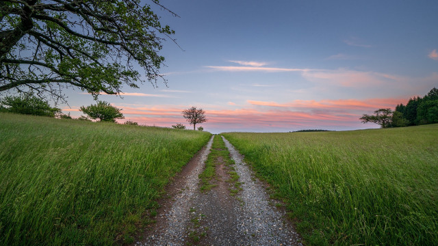 Dirt road field sunset tree free wallpaper - medium preview image