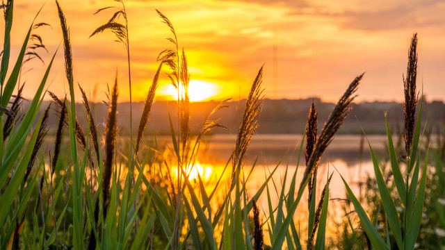 Sunset lake tallgrass sunrise cloudy free wallpaper - medium preview image