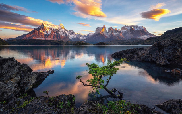 Tree lake mountains sunset landscape free wallpaper - medium preview image
