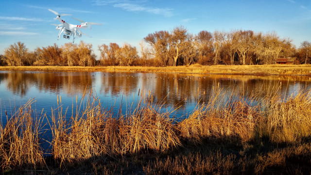 Bird lake flying autumn fireworks free wallpaper - medium preview image