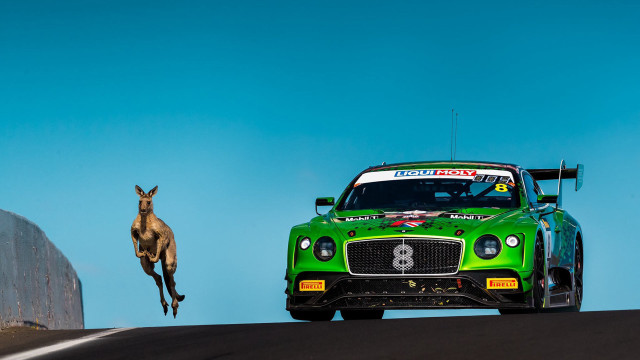 Green car kangaroo wall jumping free wallpaper - medium preview image
