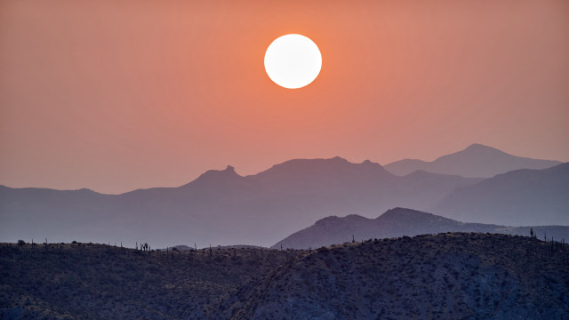 Sunset mountain bird foreground forest free wallpaper - medium preview image