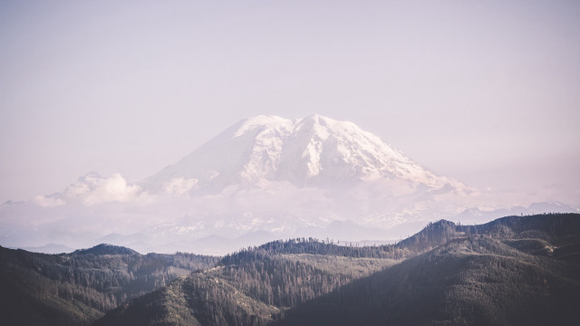 Mountain snow peak trees hazy free wallpaper - medium preview image