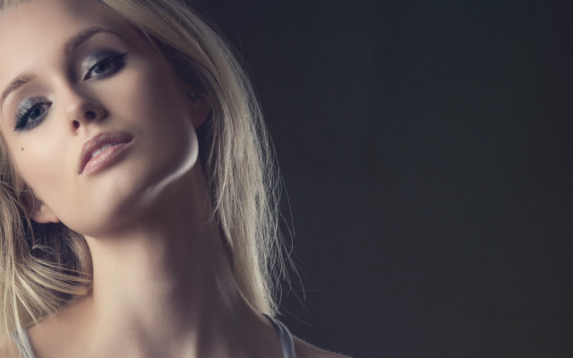Anna katharina block silver dress free wallpaper - medium preview image