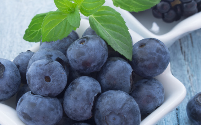Blueberries leaf closeup photorealism stock free wallpaper - medium preview image