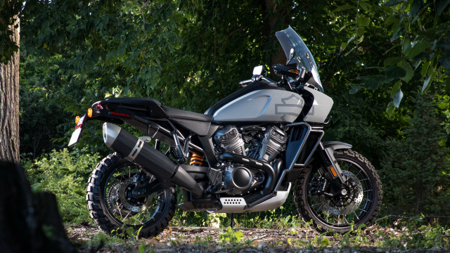 Motorcycle forest tree bush gear free wallpaper - medium preview image