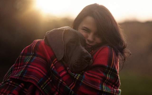 Cozy woman hugging dog sunset free wallpaper - medium preview image