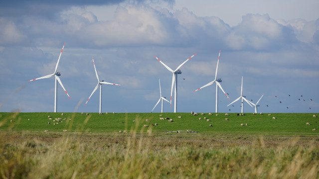 Wind turbines sheep field sky free wallpaper - medium preview image