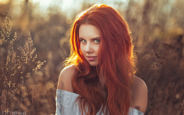 Red haired woman field portrait free wallpaper - medium preview image