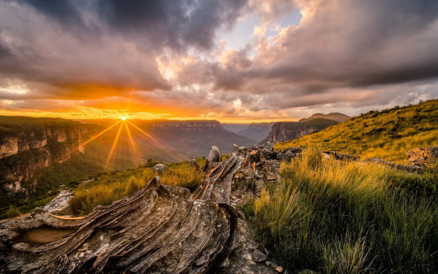 Sunset mountain tree stump valley free wallpaper - medium preview image