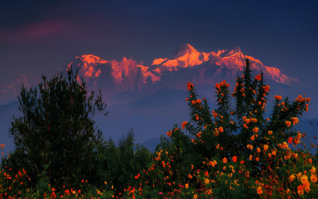 Mountain sunset flowers trees autumn free wallpaper - medium preview image