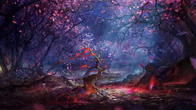 Forest fire anato finnstark matte free wallpaper - medium preview image