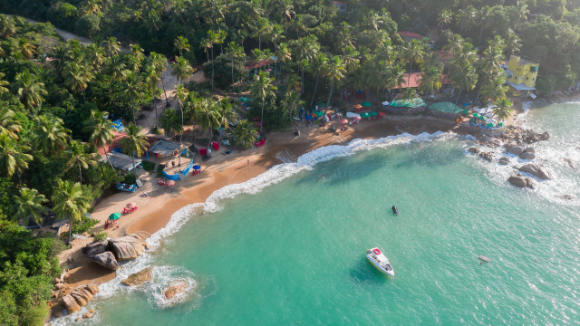 Boat beach palm trees shore free wallpaper - medium preview image