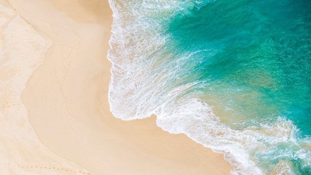 Beach wave surfboard ocean sand free wallpaper - medium preview image