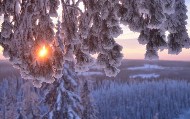 Sunshine snow trees winter lake free wallpaper - medium preview image