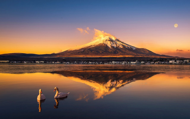 Mountain reflection sunset swan japan free wallpaper - medium preview image
