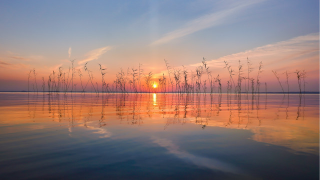 Sunset water tallgrass orange sky free wallpaper - medium preview image
