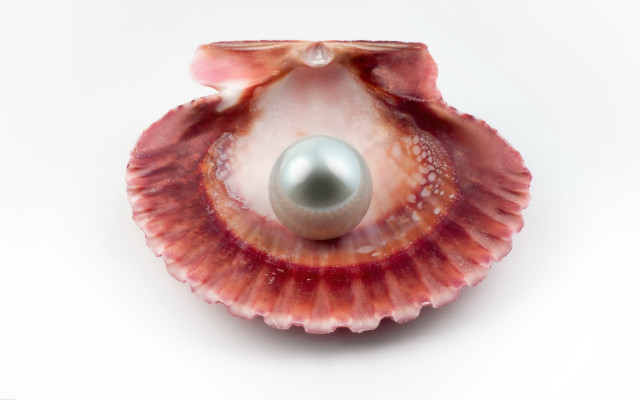 Pearl shell reflection precisionism digital free wallpaper - medium preview image