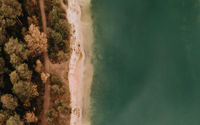 Beach sandy shore trees lake free wallpaper - medium preview image