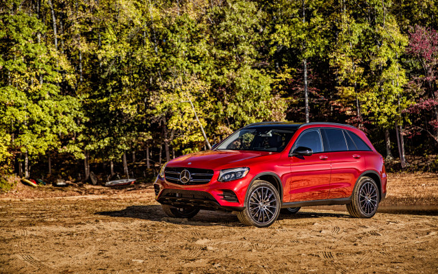 Red mercedes suv parked forest free wallpaper - medium preview image