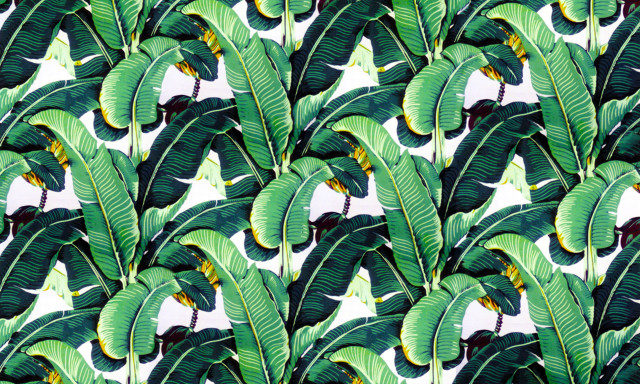 Green leafy pattern white background free wallpaper - medium preview image