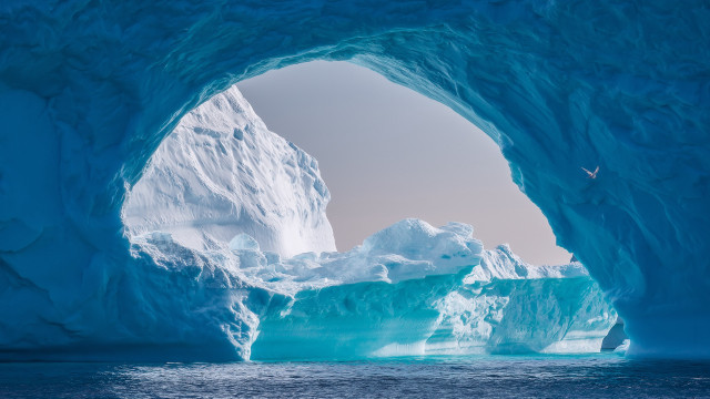 Iceberg bird boat sky ocean free wallpaper - medium preview image
