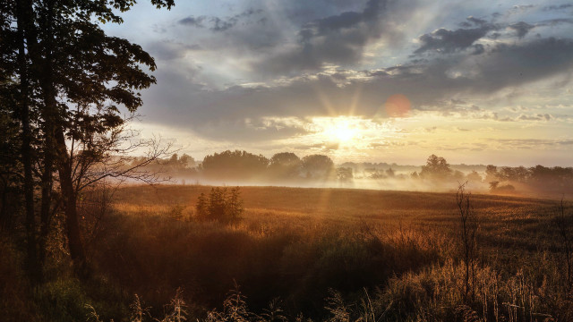 Field trees fog sunrise mountain free wallpaper - medium preview image