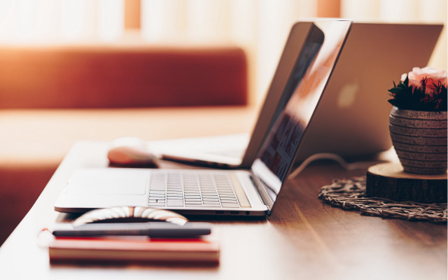 Laptop wooden desk flowerpot cellphone free wallpaper - medium preview image
