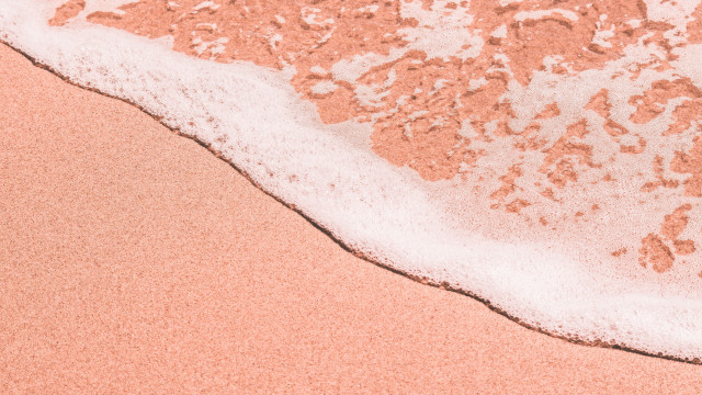 Pink beach wave sunset floral free wallpaper - medium preview image