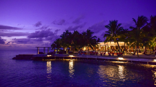 Dock chairs lights palm trees free wallpaper - medium preview image
