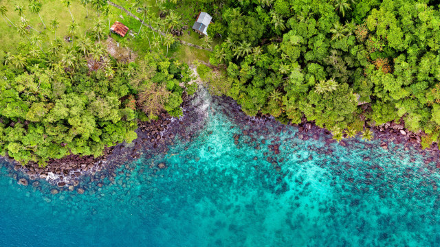 Lake forest house aerial view free wallpaper - medium preview image